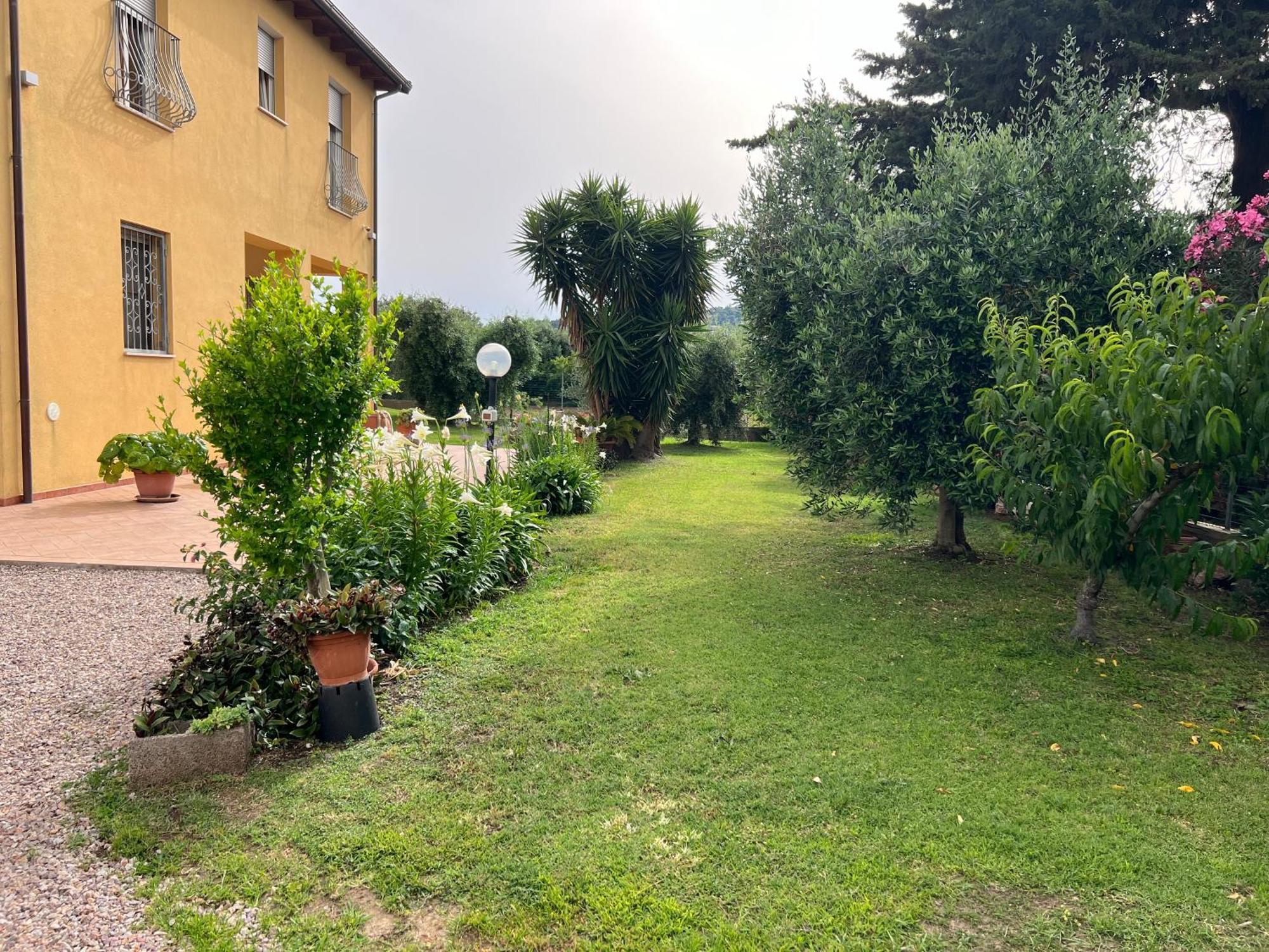 Agriturismo Il Giardino Degli Olivi Appartamenti Castiglione della Pescaia Εξωτερικό φωτογραφία