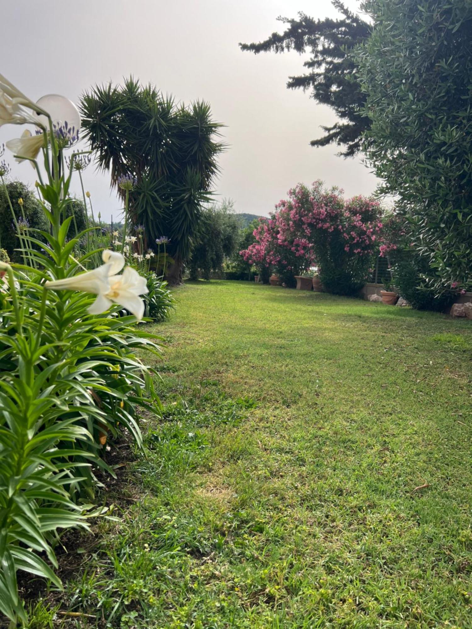 Agriturismo Il Giardino Degli Olivi Appartamenti Castiglione della Pescaia Εξωτερικό φωτογραφία